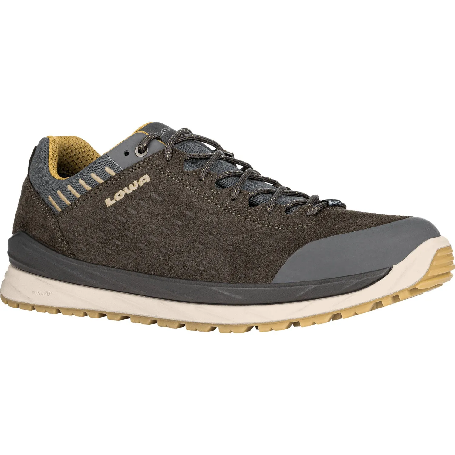 Lowa Men's Malta GTX Lo Hiking Shoes