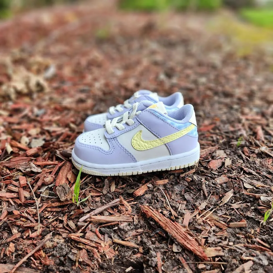 Nike Dunk Low SE BTE